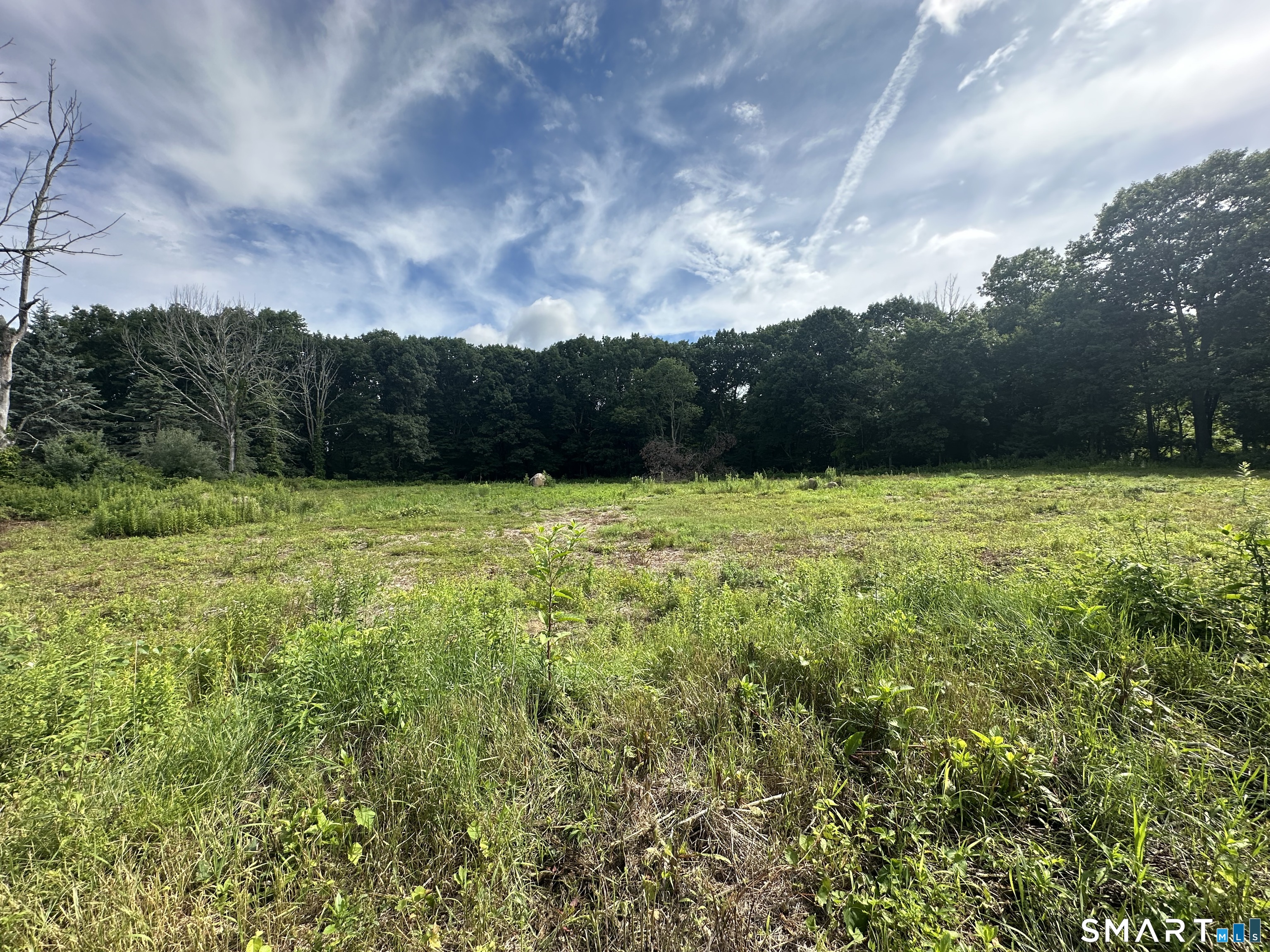 Morris CT 06758