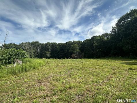 Morris CT 06758