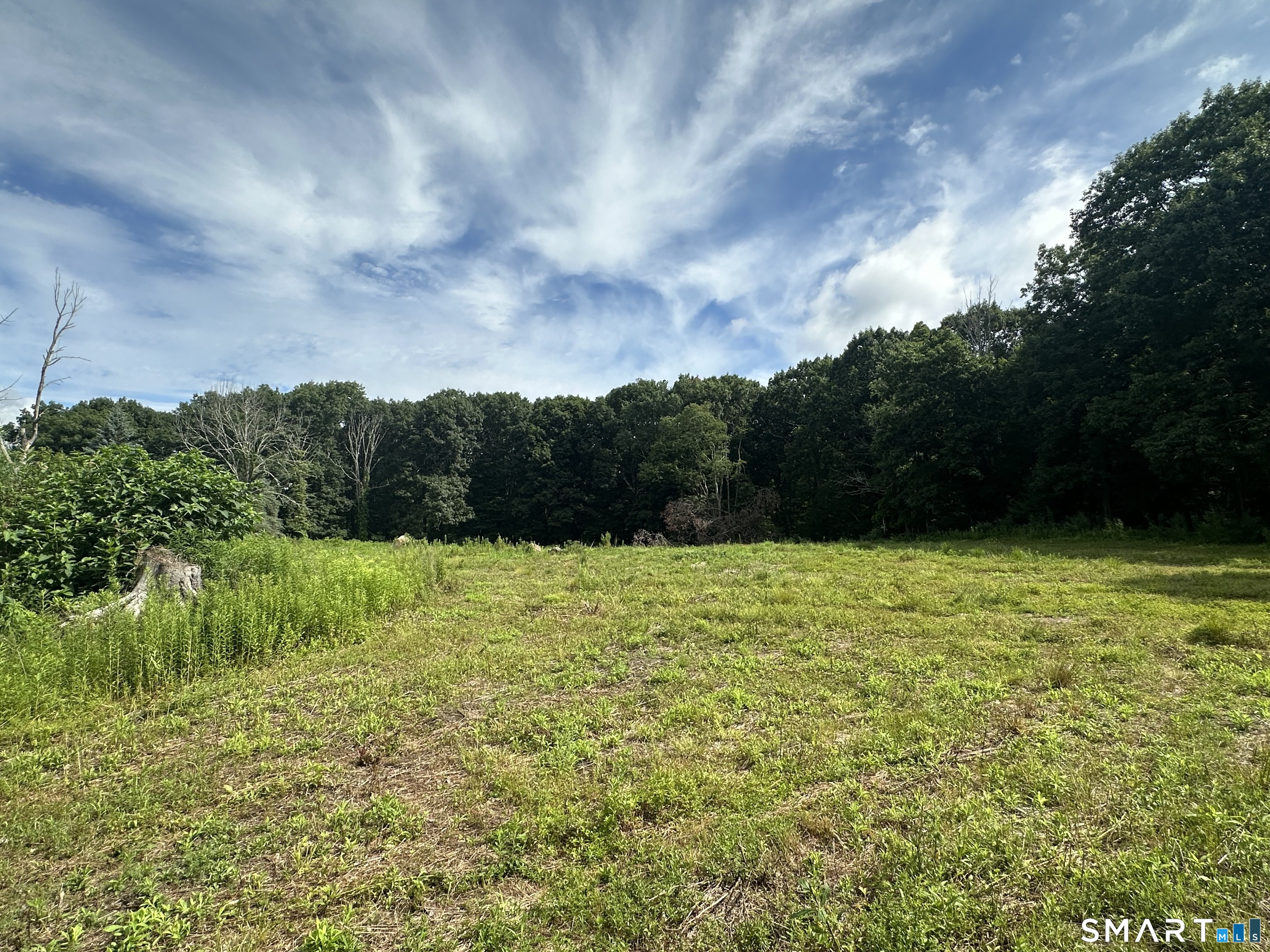 Morris CT 06758