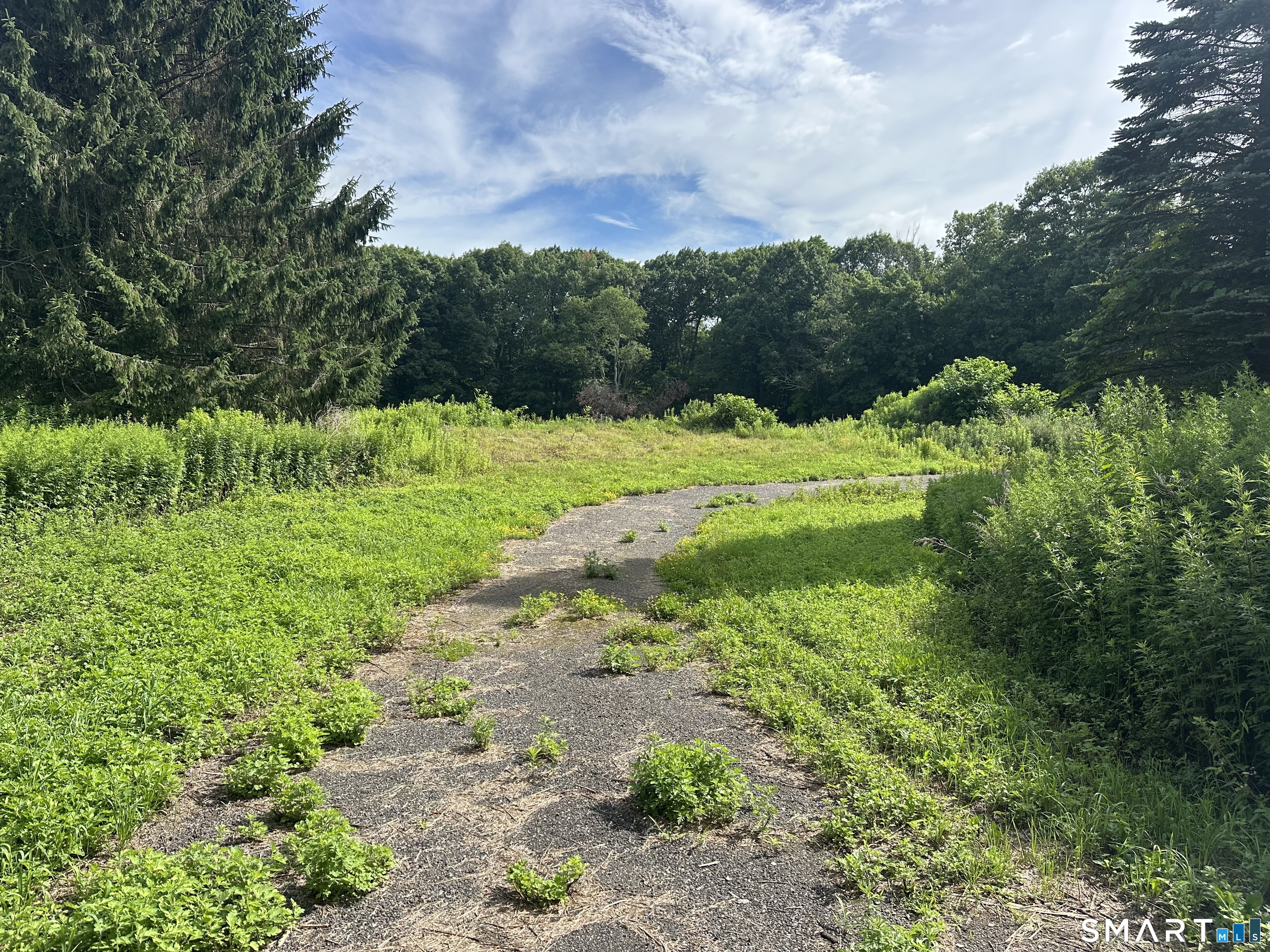 Morris CT 06758