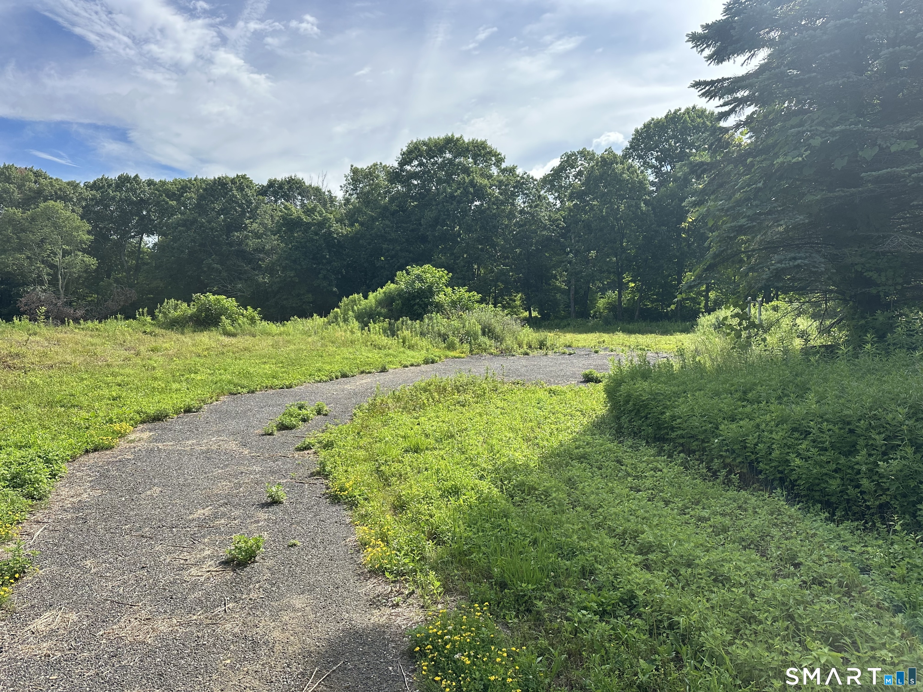 Morris CT 06758