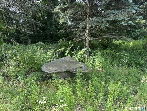 Morris CT 06758