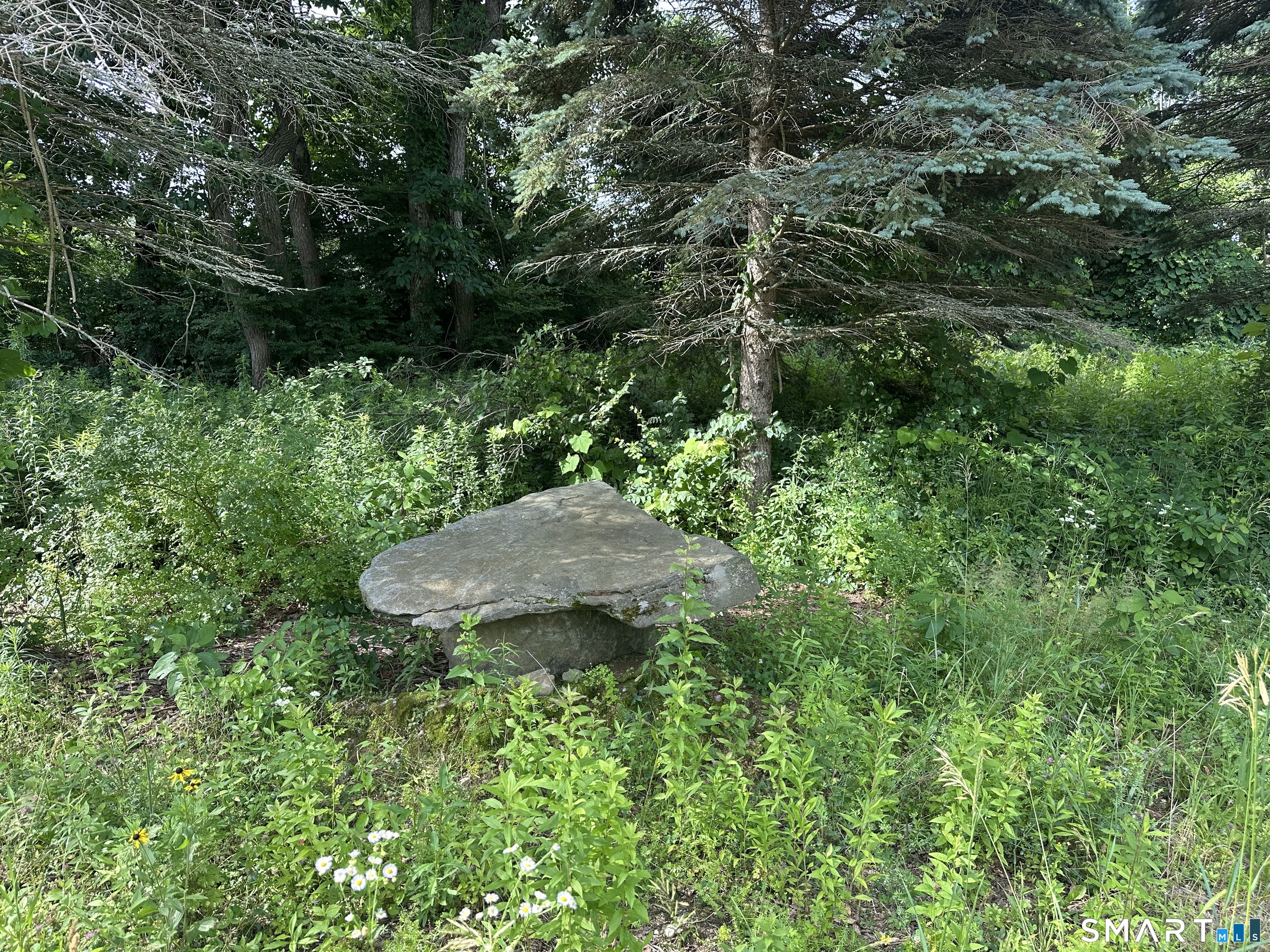 Morris CT 06758
