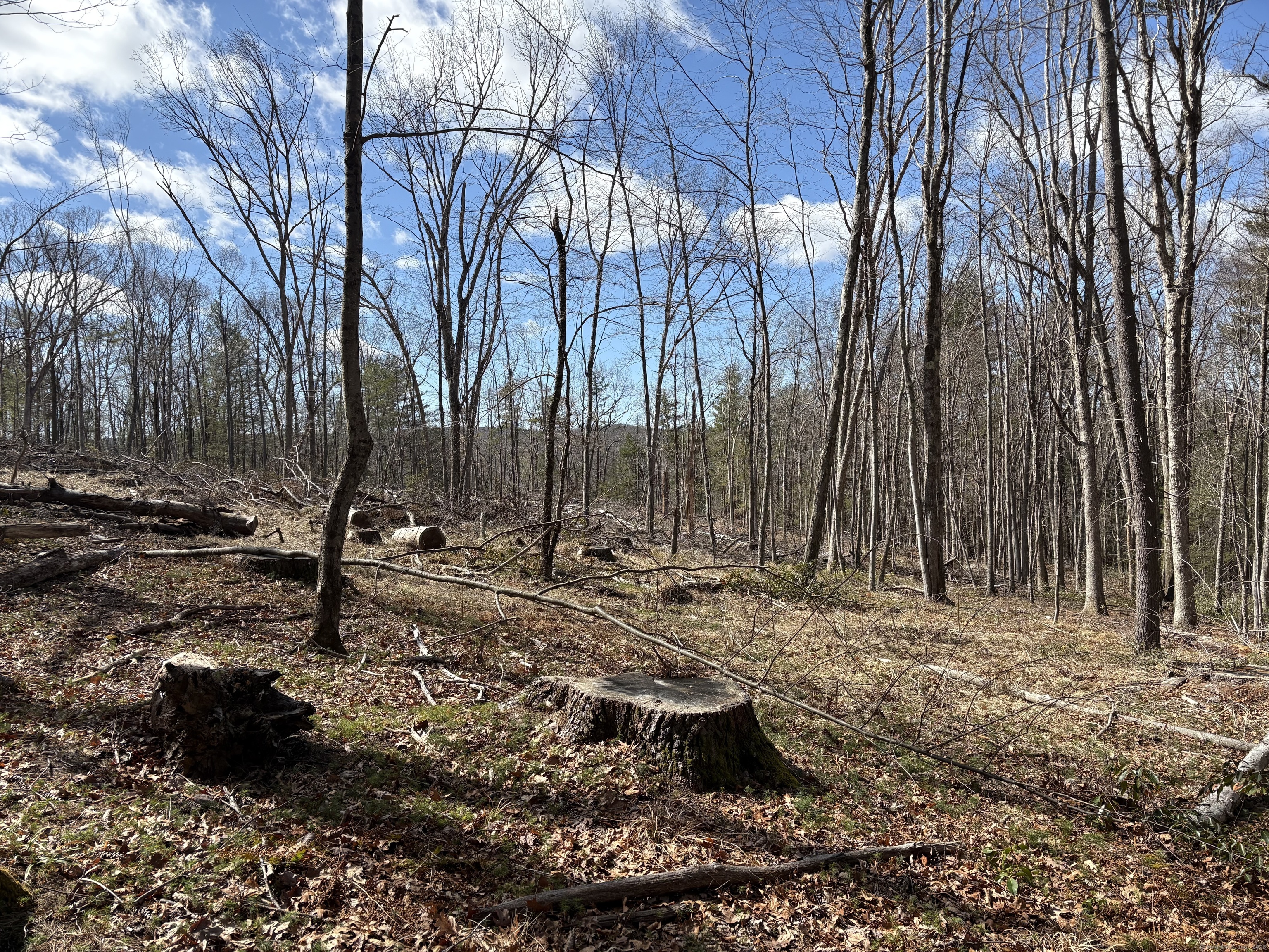 Lot 2 Birch Hill Road Harwinton CT 06791