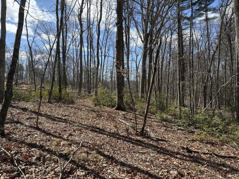 Lot 2 Birch Hill Road Harwinton CT 06791
