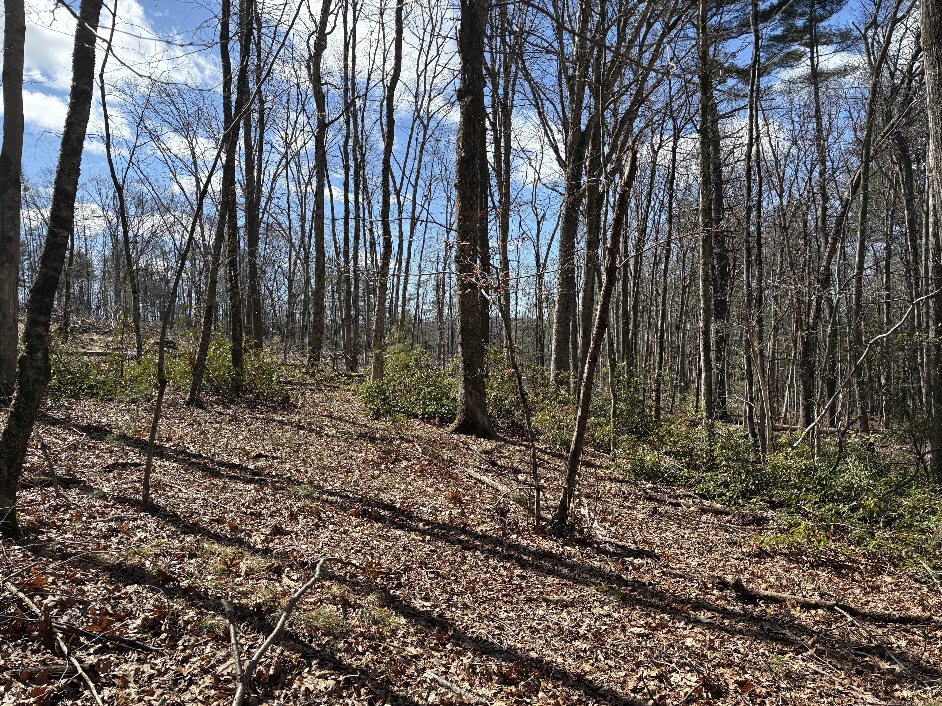 Lot 2 Birch Hill Road Harwinton CT 06791