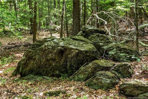 200 North Street Roxbury CT 06783