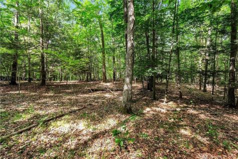 200 North Street Roxbury CT 06783