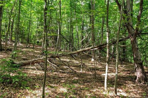 200 North Street Roxbury CT 06783