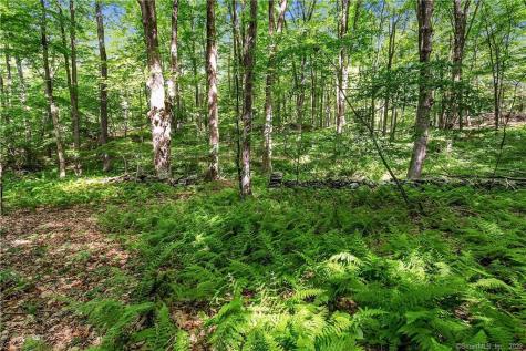 200 North Street Roxbury CT 06783