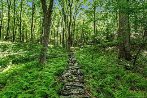 200 North Street Roxbury CT 06783