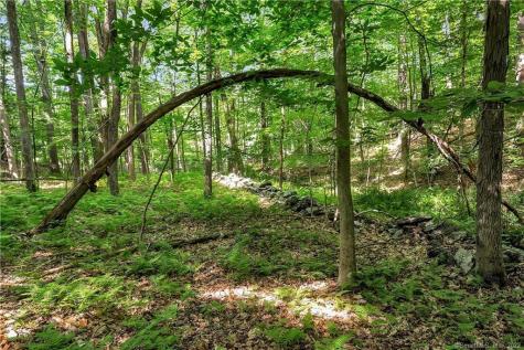 200 North Street Roxbury CT 06783