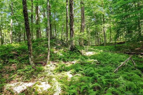 200 North Street Roxbury CT 06783