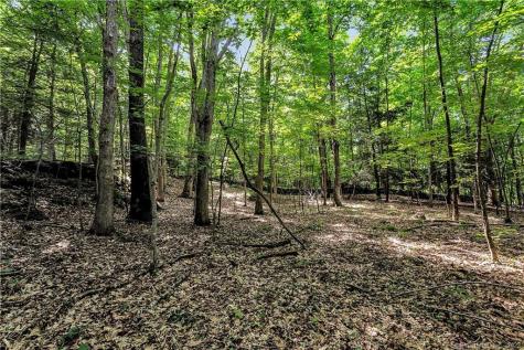 200 North Street Roxbury CT 06783