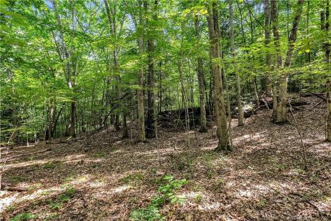 200 North Street Roxbury CT 06783