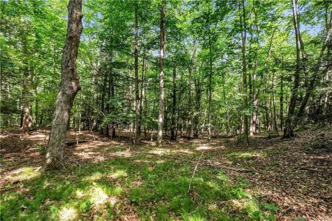 200 North Street Roxbury CT 06783