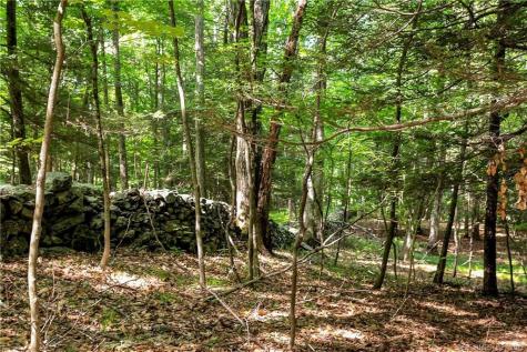 200 North Street Roxbury CT 06783