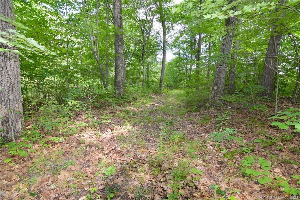 Farmwood Road Waterbury CT 06701