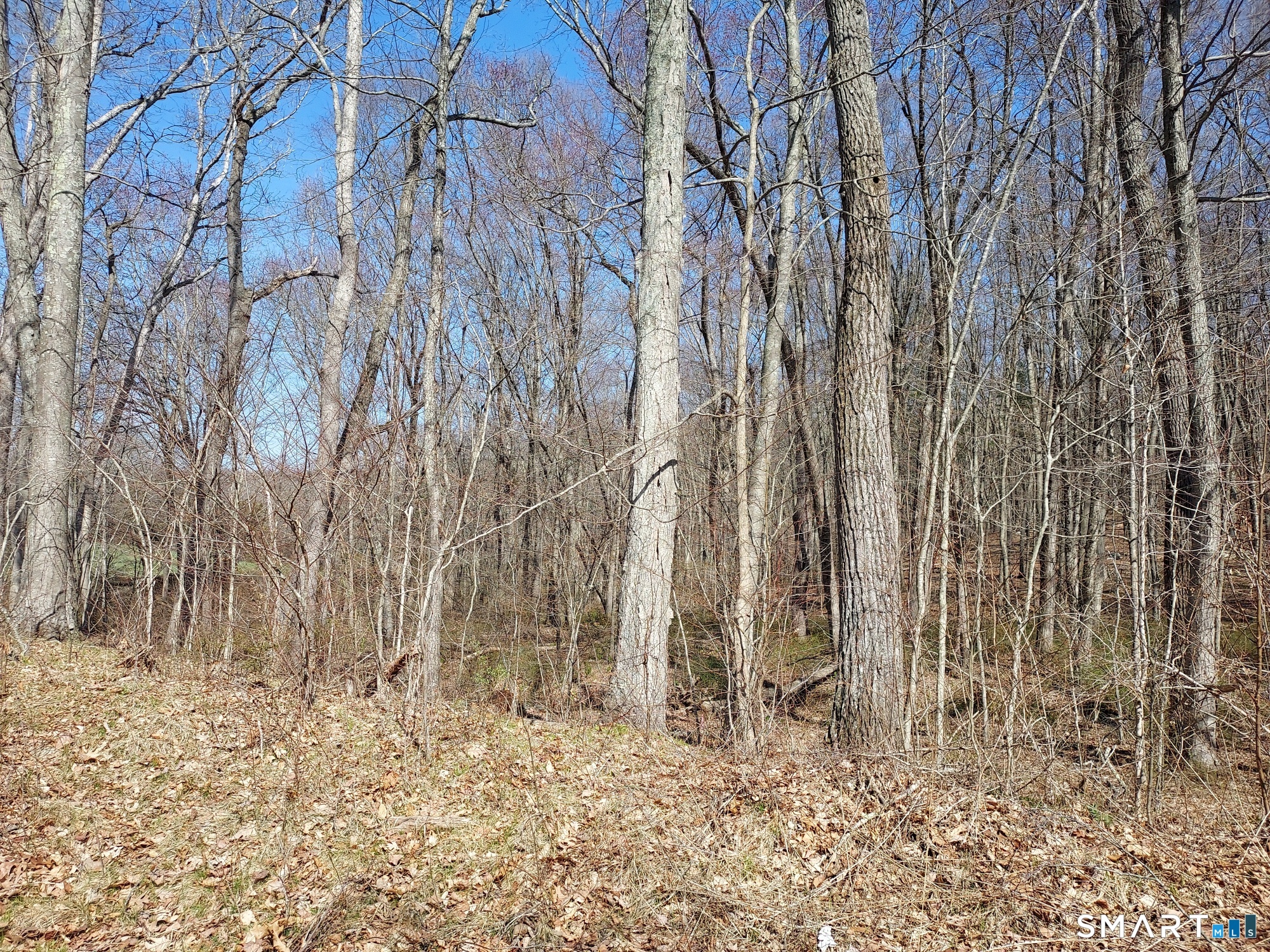 Parcel 07-3 Wall Street Hebron CT 06248
