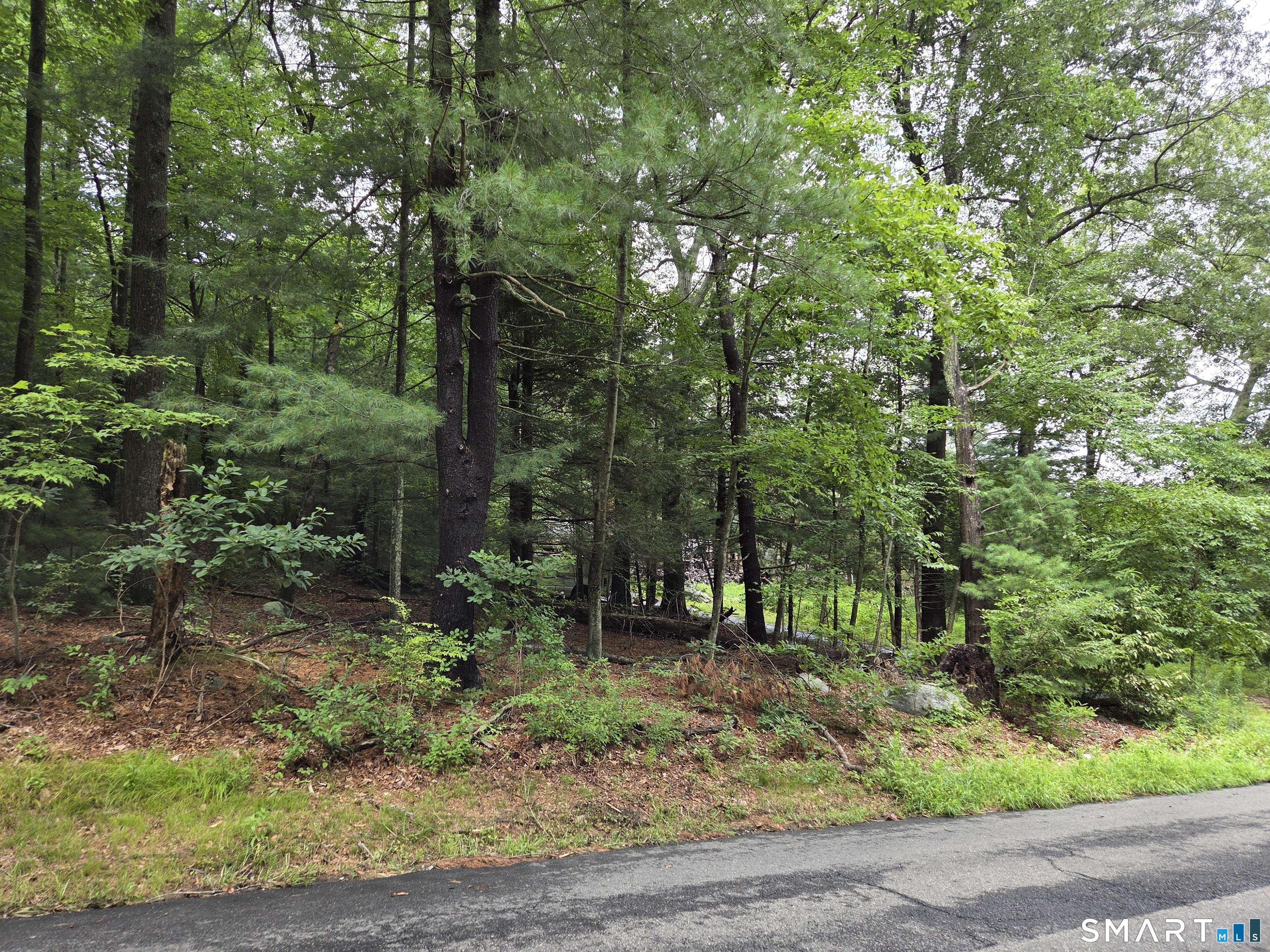 7 Hallsey Lane Woodbridge CT 06525