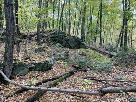 Dorothy Diebold Lane Roxbury CT 06783