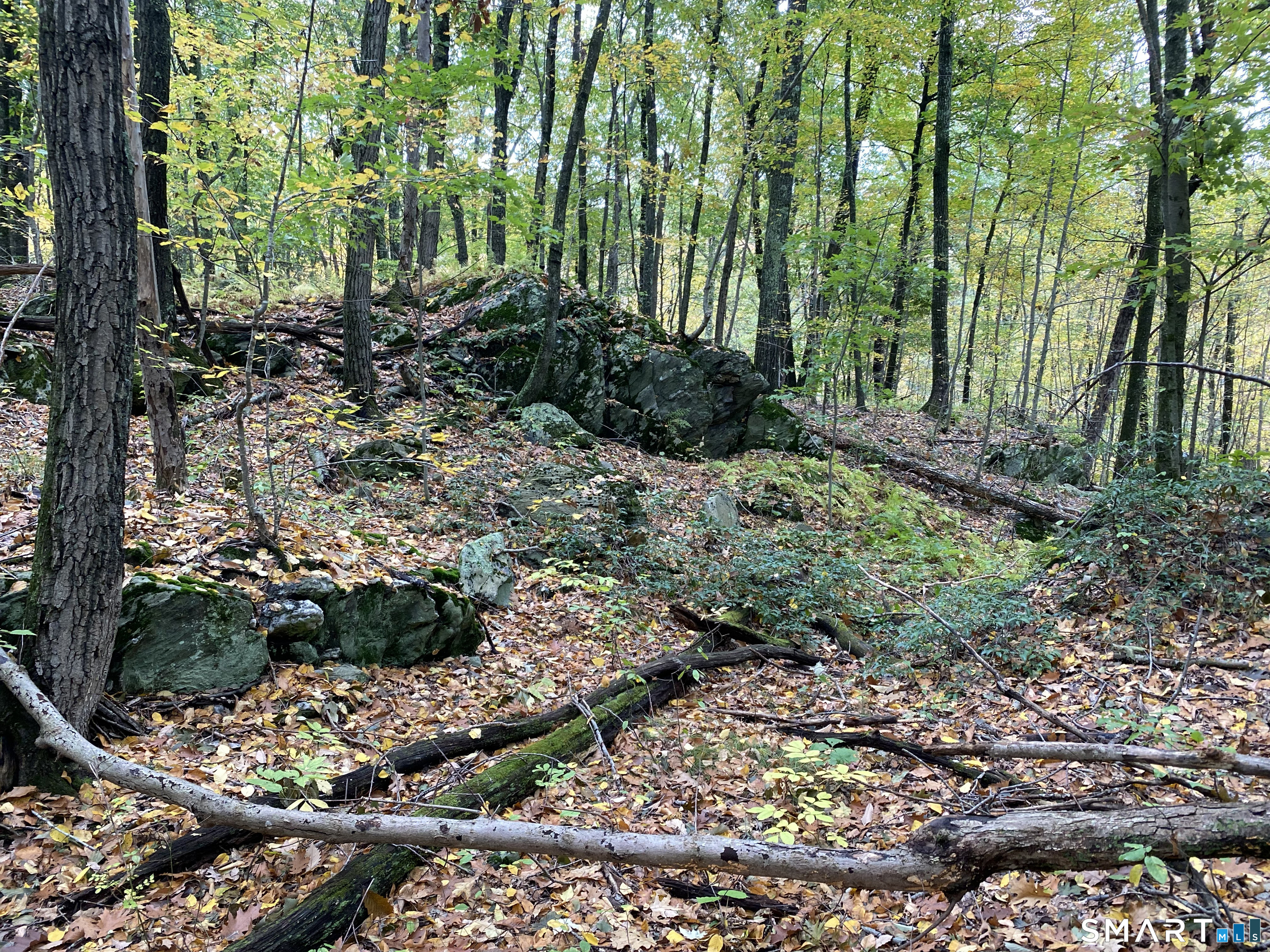 Dorothy Diebold Lane Roxbury CT 06783