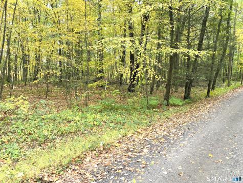 Dorothy Diebold Lane Roxbury CT 06783