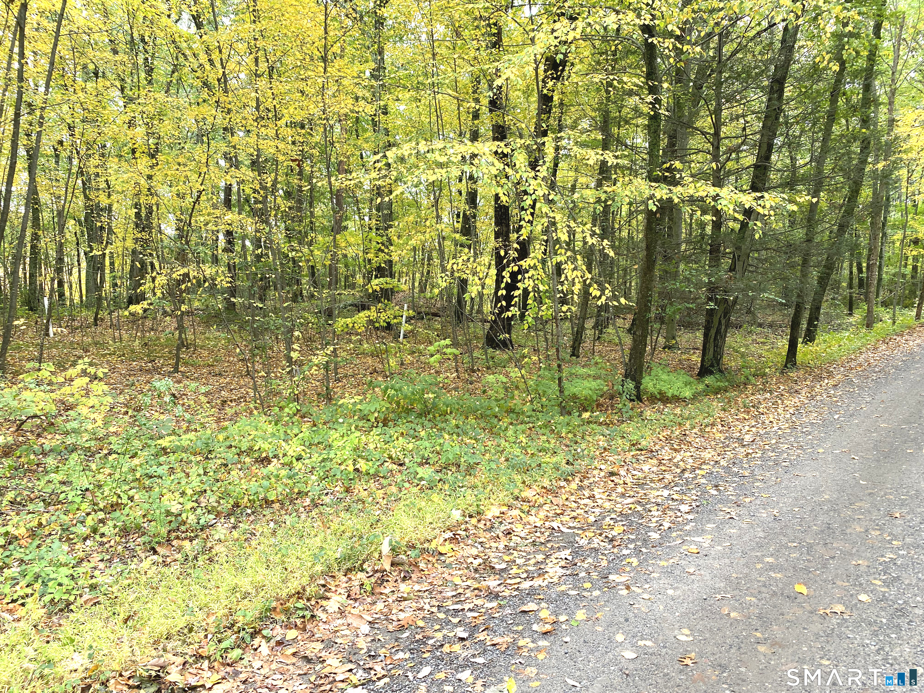 Dorothy Diebold Lane Roxbury CT 06783
