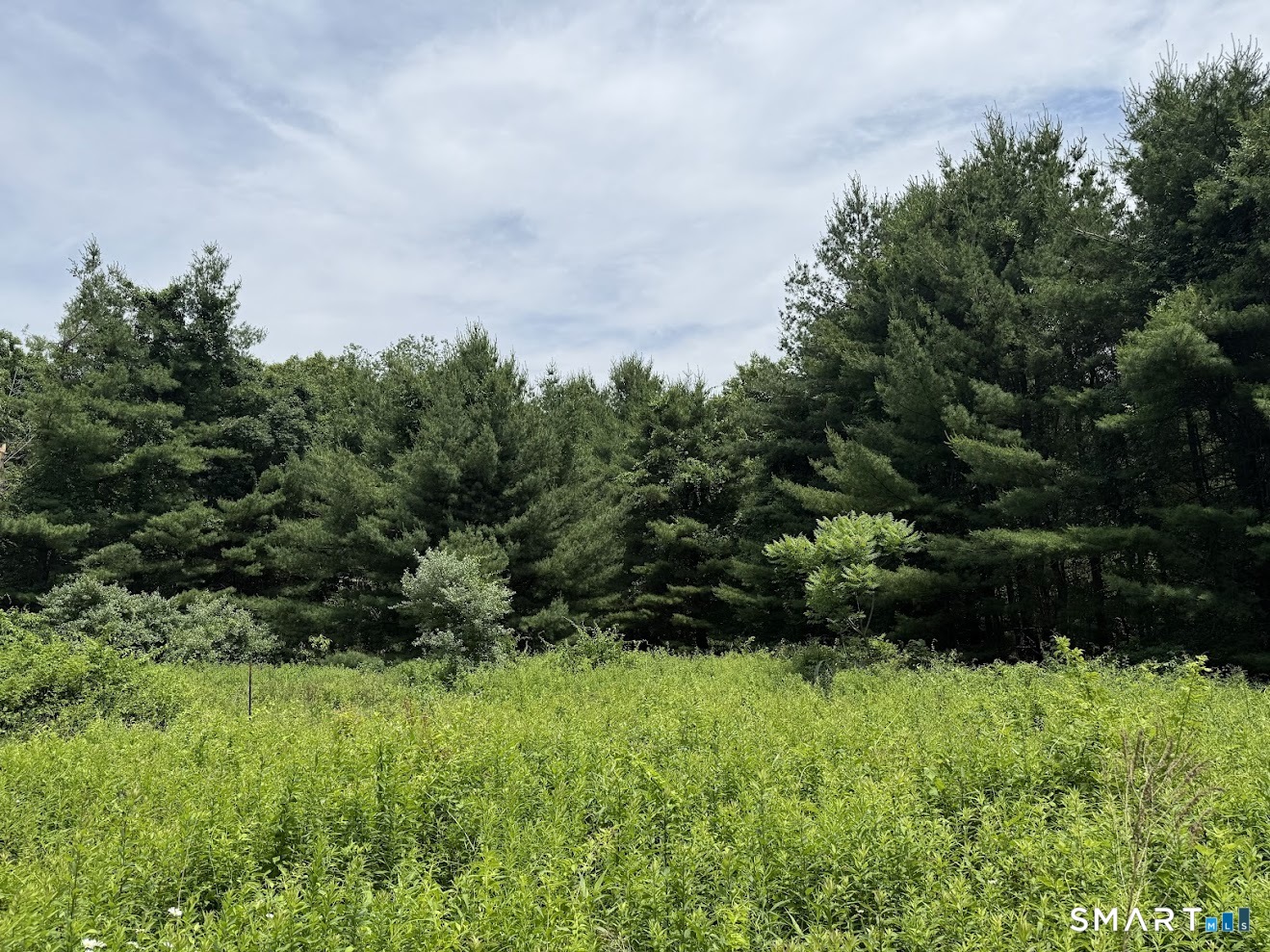 162 Lonetown Road Redding CT 06896