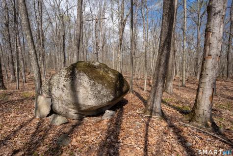 Cold Spring Road East Haddam CT 06423