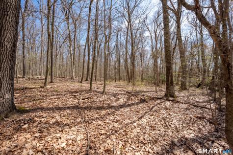 Cold Spring Road East Haddam CT 06423