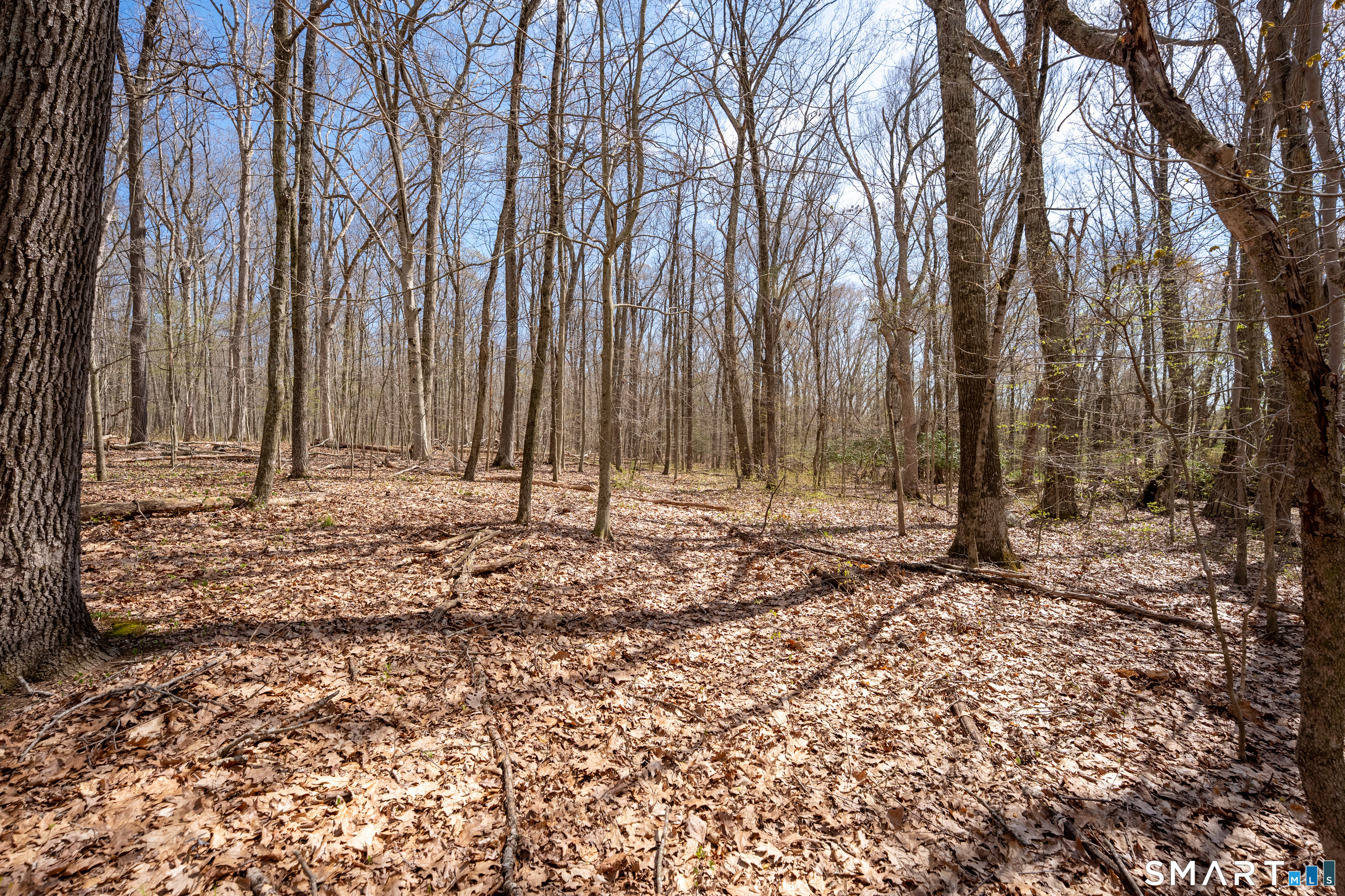 Cold Spring Road East Haddam CT 06423