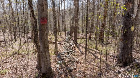 Cold Spring Road East Haddam CT 06423
