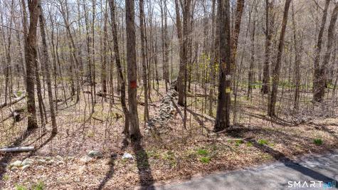 Cold Spring Road East Haddam CT 06423