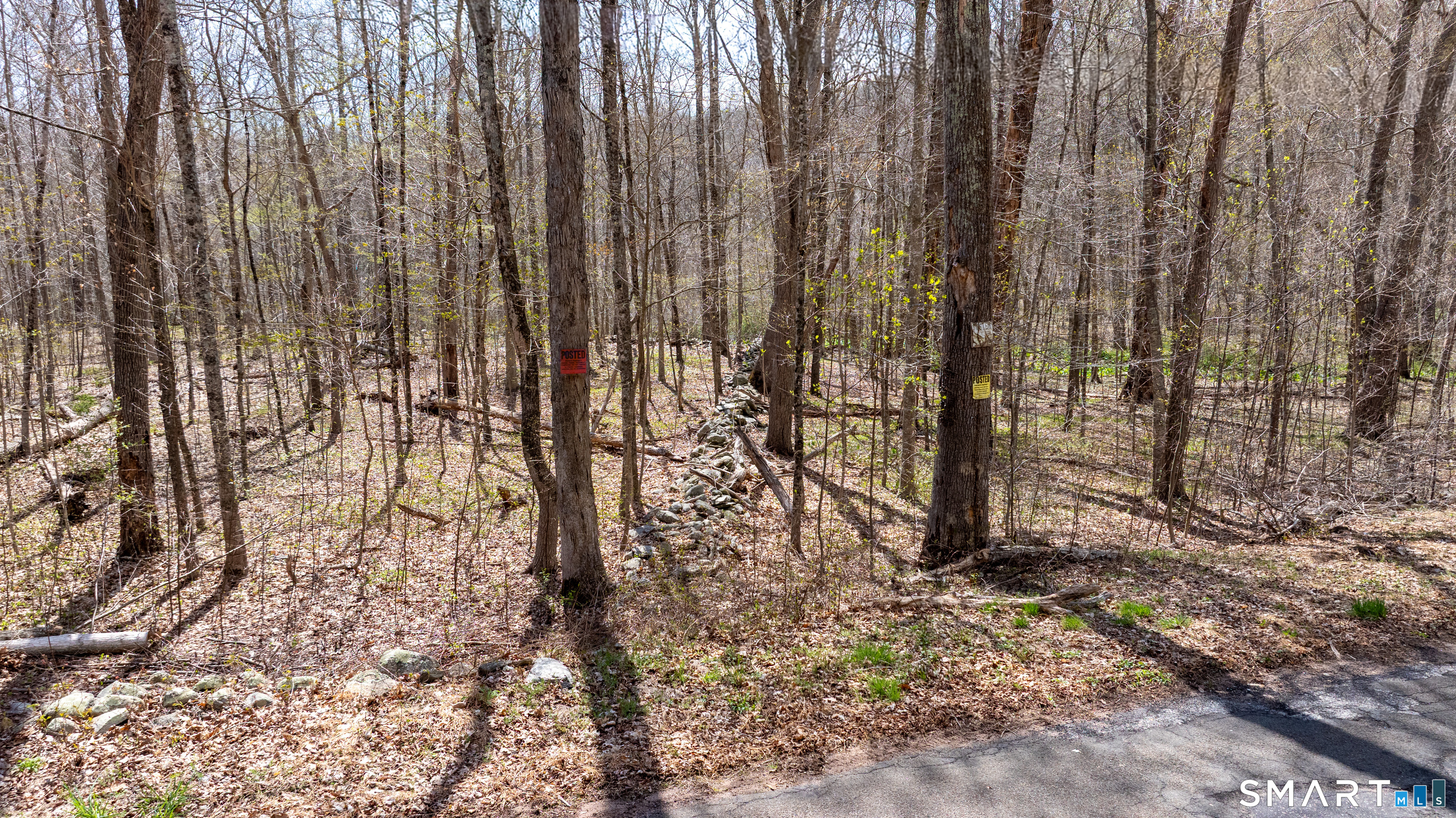 Cold Spring Road East Haddam CT 06423
