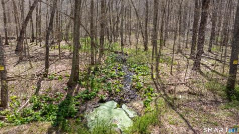 Cold Spring Road East Haddam CT 06423