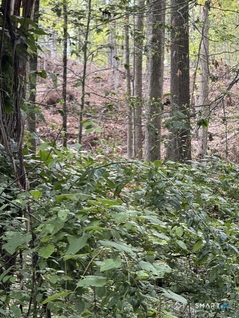 Cold Spring Road East Haddam CT 06423