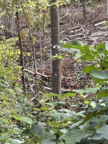 Cold Spring Road East Haddam CT 06423