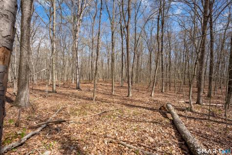 Cold Spring Road East Haddam CT 06423