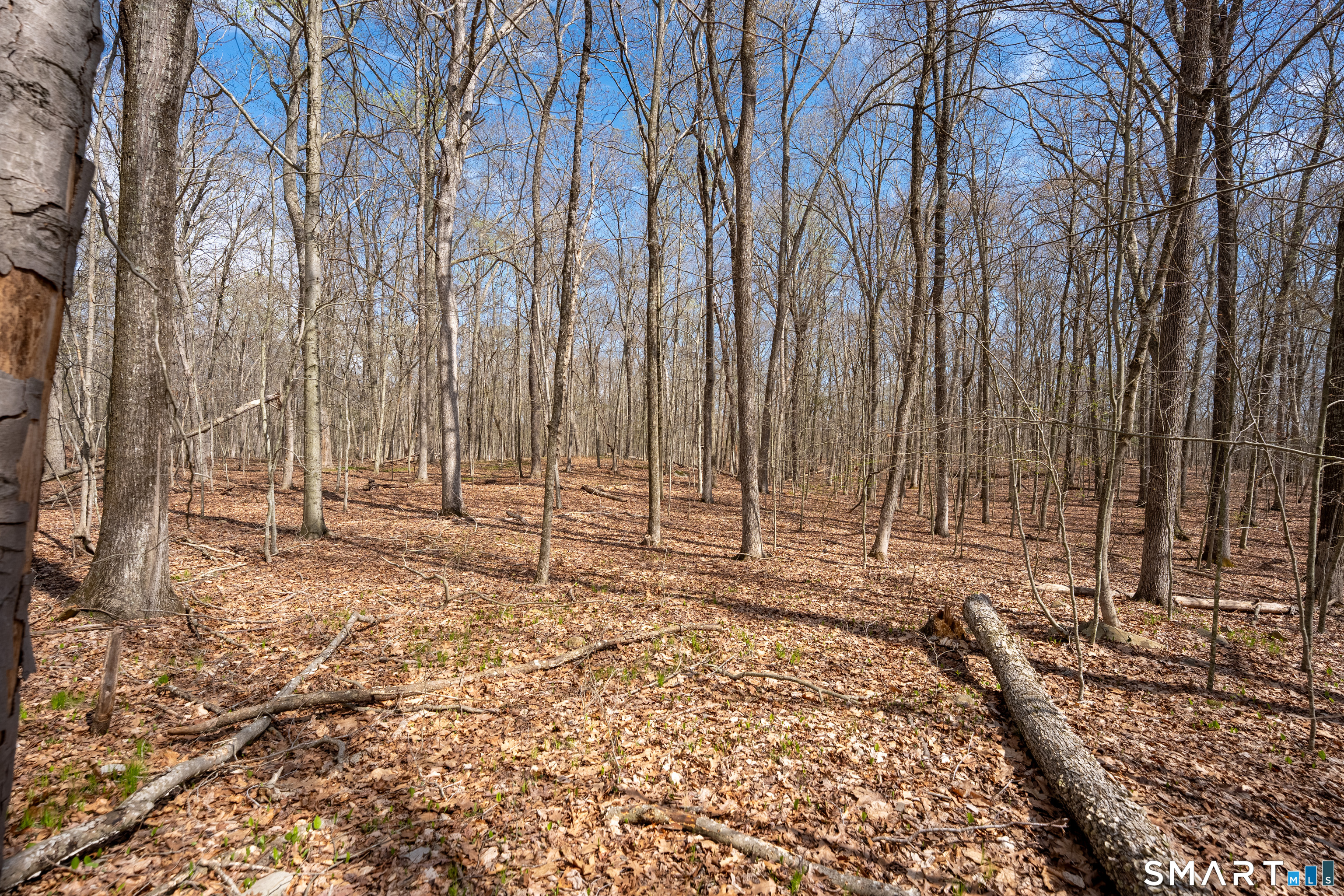 Cold Spring Road East Haddam CT 06423