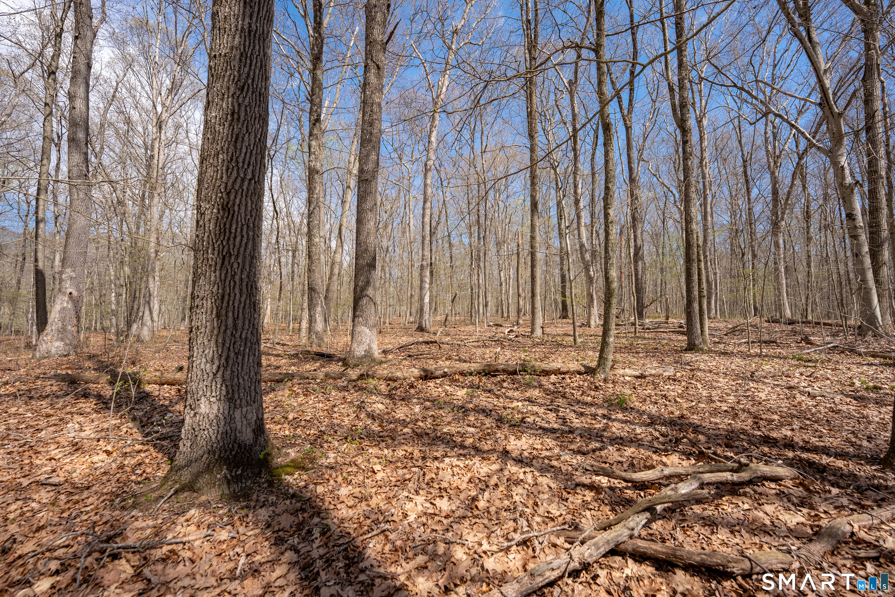 Cold Spring Road East Haddam CT 06423
