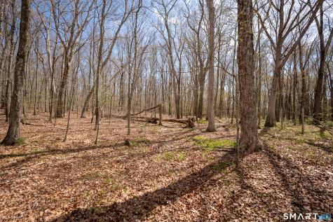 Cold Spring Road East Haddam CT 06423