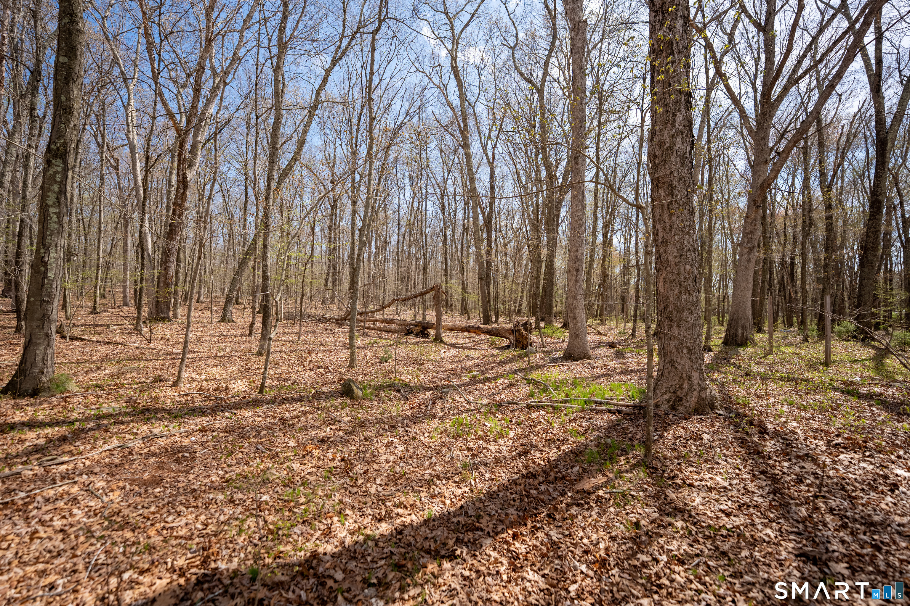 Cold Spring Road East Haddam CT 06423