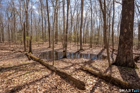 Cold Spring Road East Haddam CT 06423