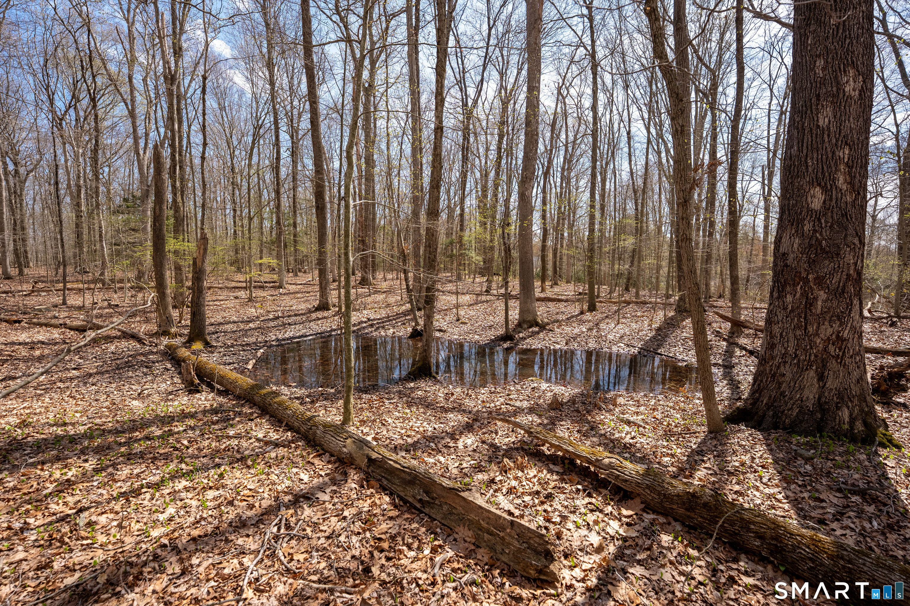 Cold Spring Road East Haddam CT 06423