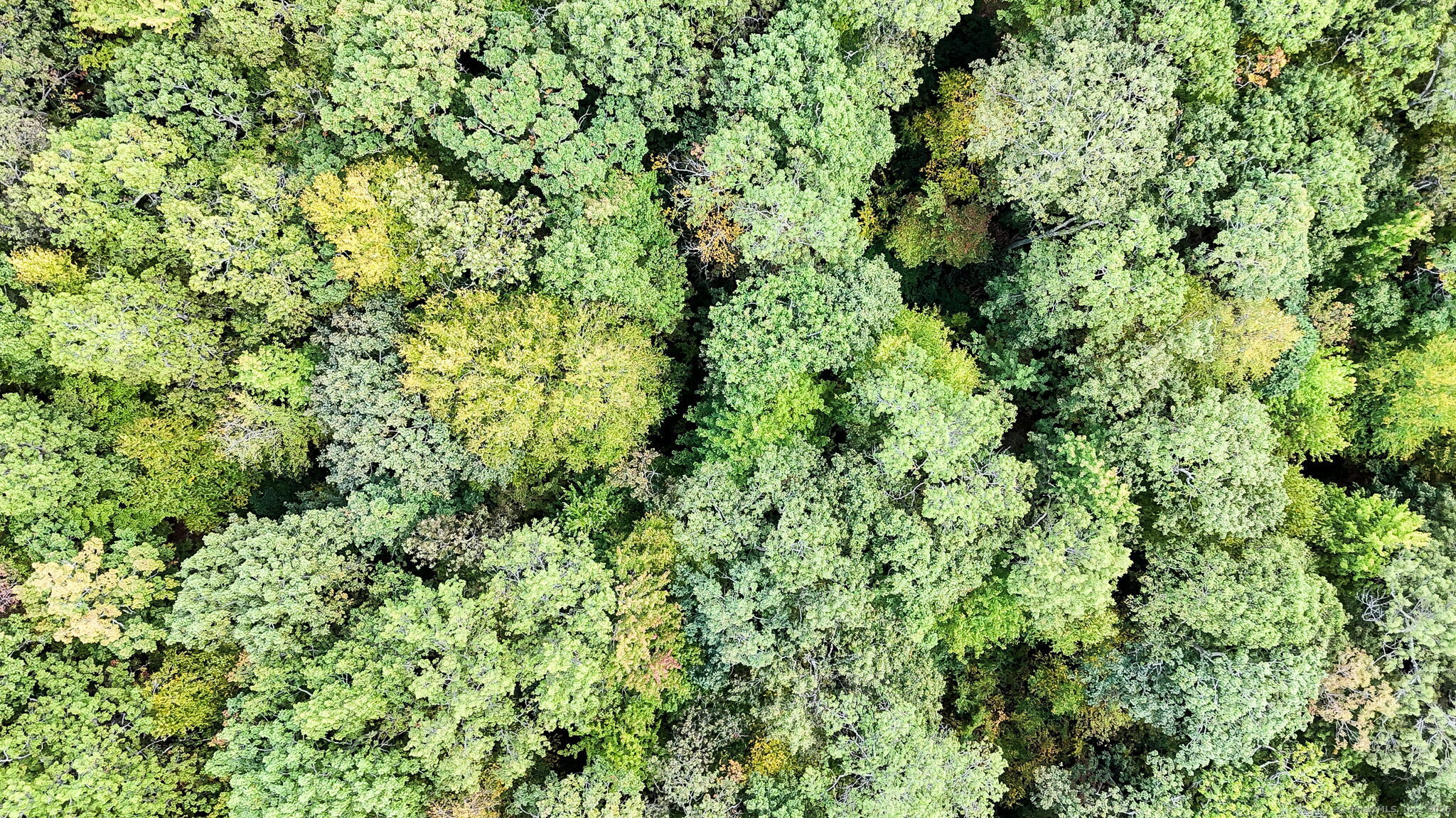 93 Dockerel Road Tolland CT 06084