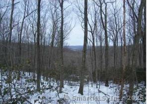 Dish Mill Road Haddam CT 06438