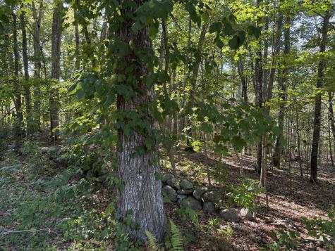 301 Montauk Avenue Stonington CT 06378