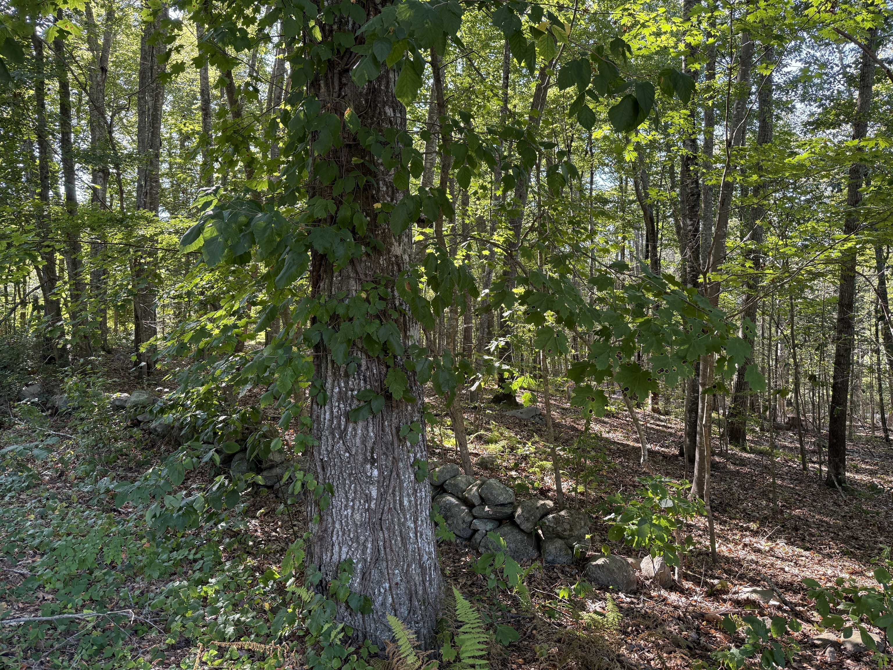 301 Montauk Avenue Stonington CT 06378