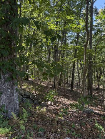 301 Montauk Avenue Stonington CT 06378